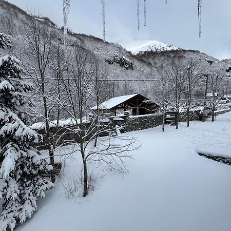 Vikendice Biocinovici Villa Kolašin Exteriör bild