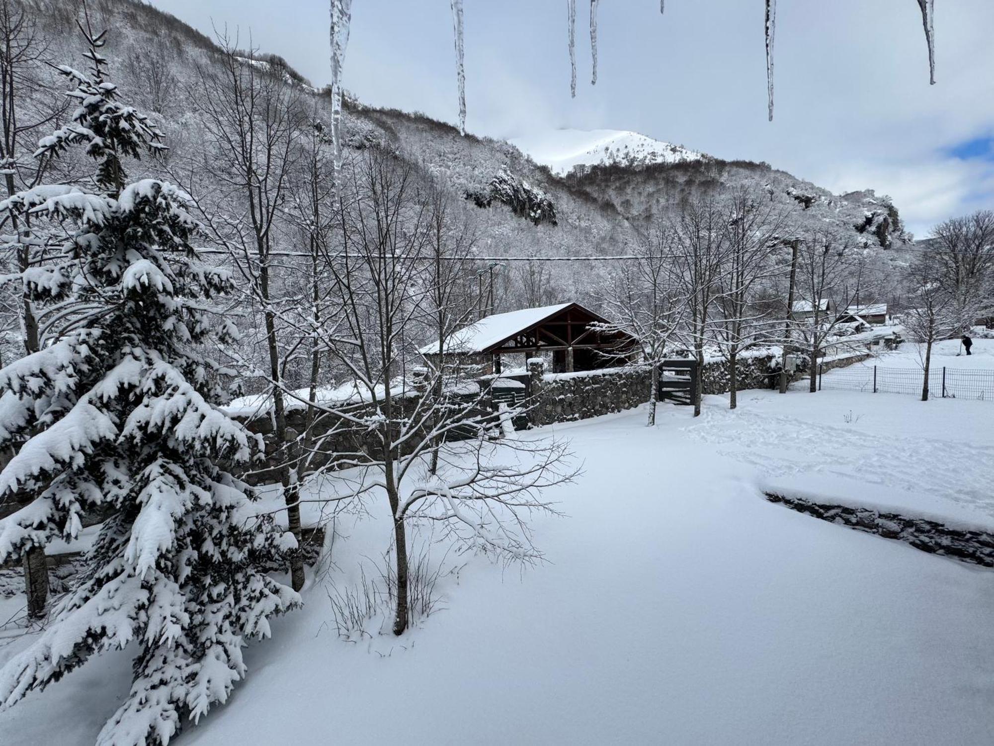 Vikendice Biocinovici Villa Kolašin Exteriör bild